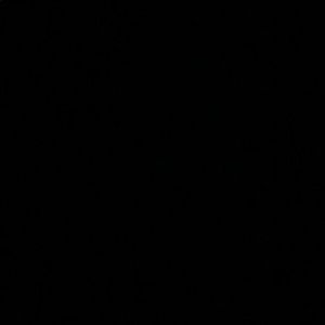 Meet your Posher, Dylan